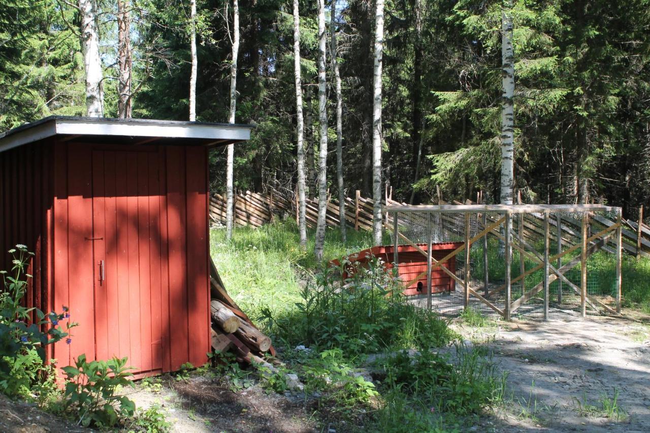 Metsapirtti Villa Kolinkylä Buitenkant foto