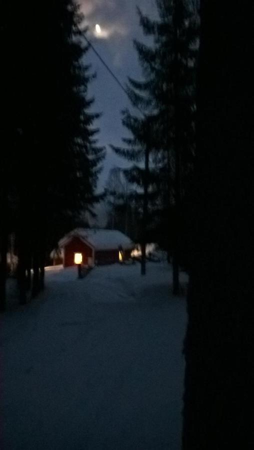 Metsapirtti Villa Kolinkylä Buitenkant foto