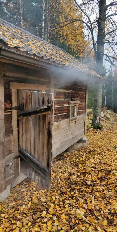 Metsapirtti Villa Kolinkylä Buitenkant foto